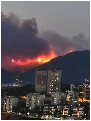 Orman Yanginlari Ercan Eroğlu (2)