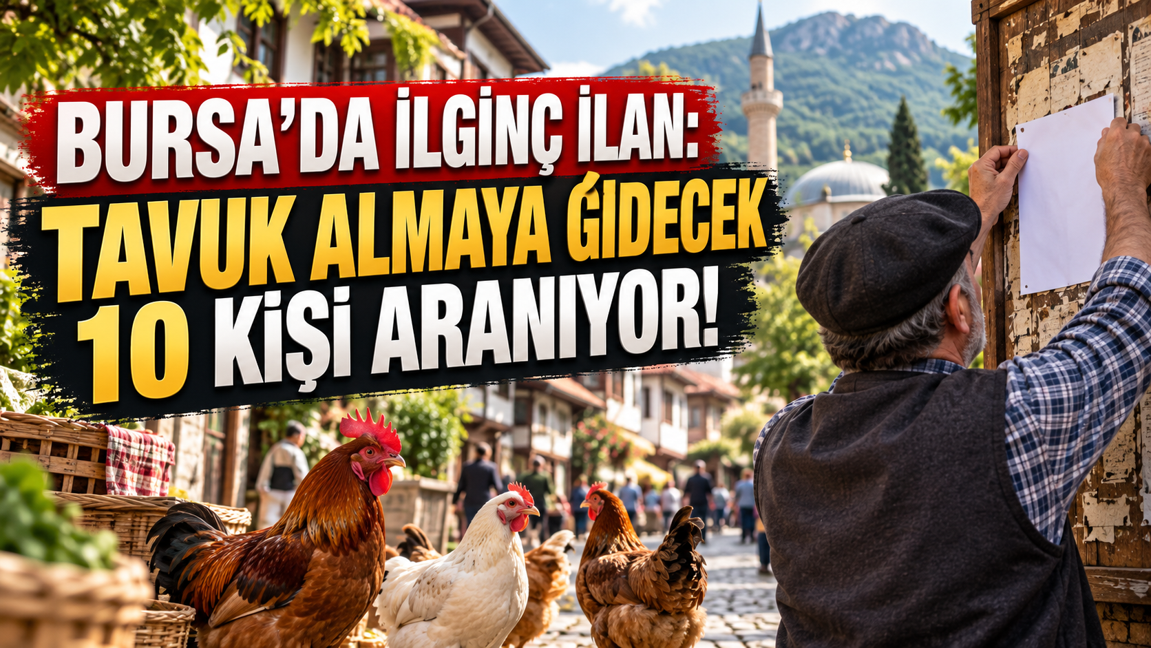 BURSA’DA İLGİNÇ İLAN: TAVUK ALMAYA GİDECEK 10 KİŞİ ARANIYOR!