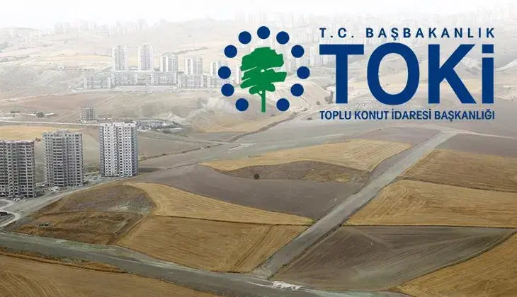 Toki-6