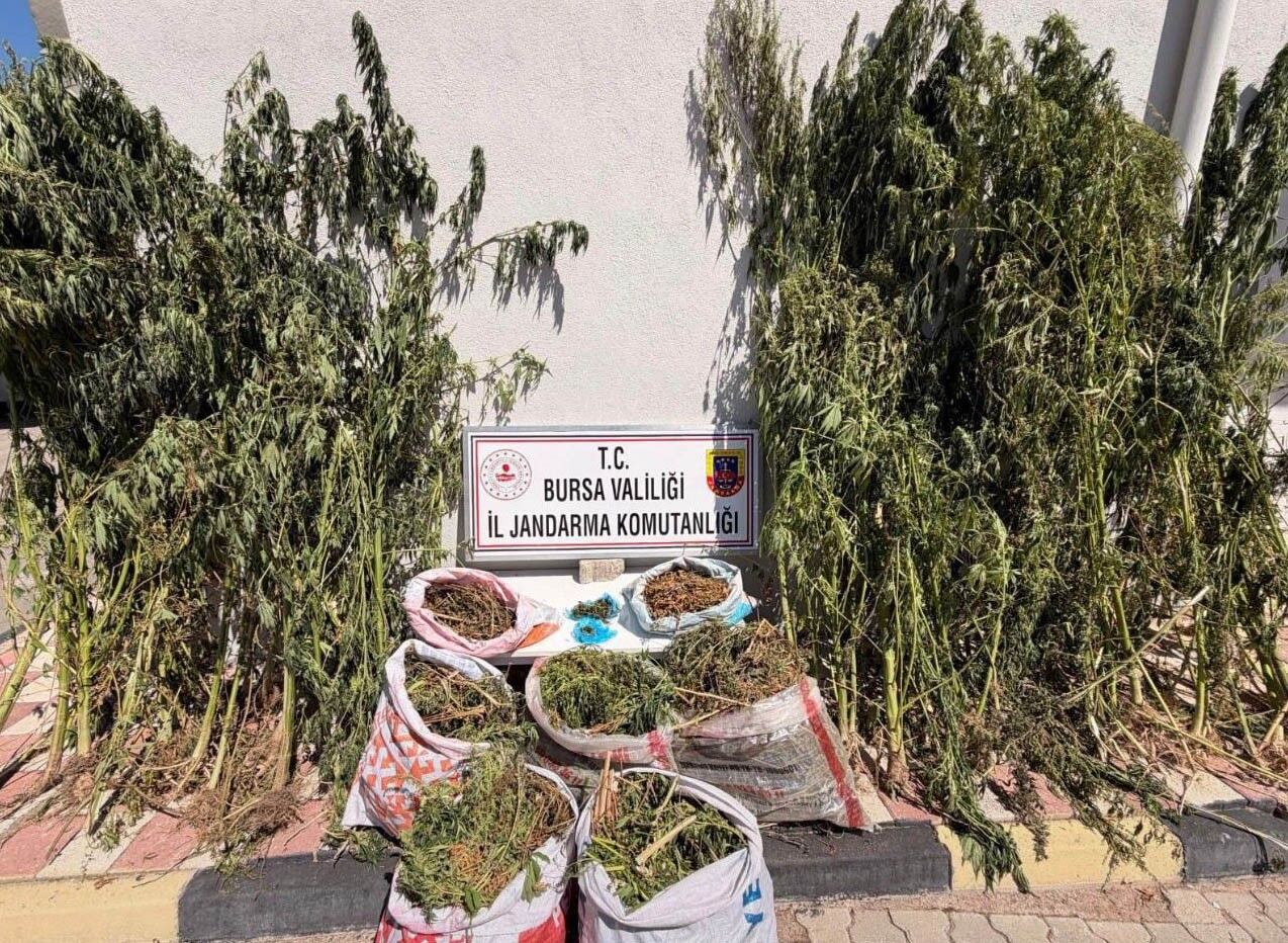 Yasaklı Madde
