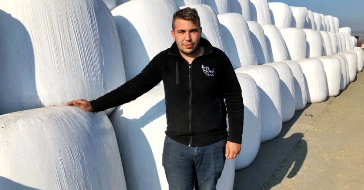 Yem Fiyatları Arttı, Besiciler Silajlık Mısır Ve Samana Yöneldi (3)