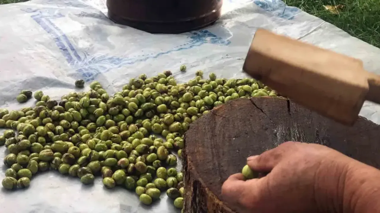 10'Dan Fazla Çeşidi Var, Kilosu 400 Tl! Türkiye'nin Dört Bir Yanından Talep Geliyor (1)