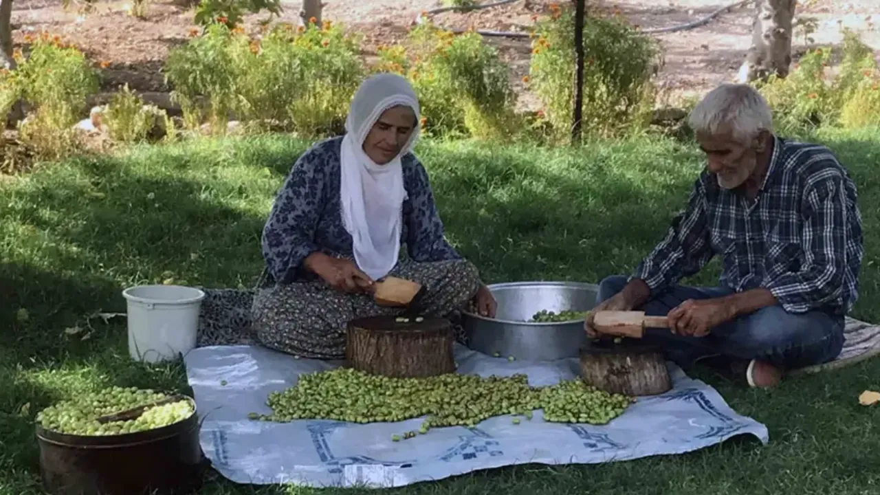 10'Dan Fazla Çeşidi Var, Kilosu 400 Tl! Türkiye'nin Dört Bir Yanından Talep Geliyor (2)