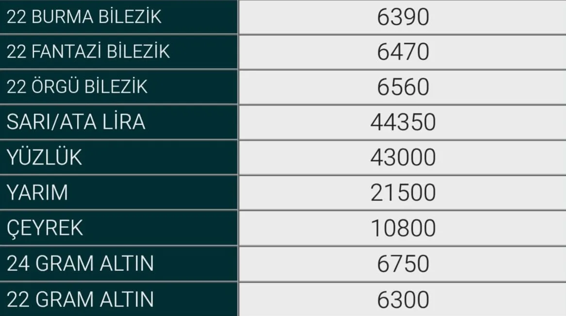 13 Ekim Inegöl Altın
