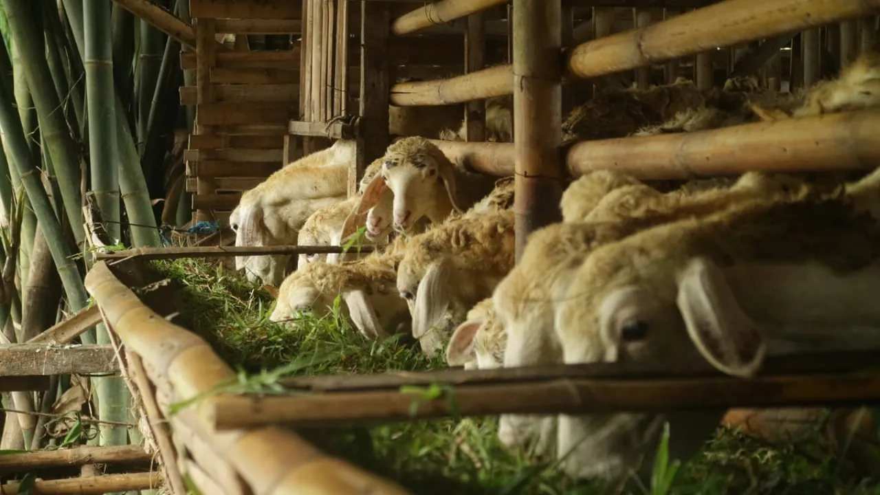 2027 Kurban Bayramı Ne Zaman Bayram Tatili 9 Gün Olacak Mı (2)