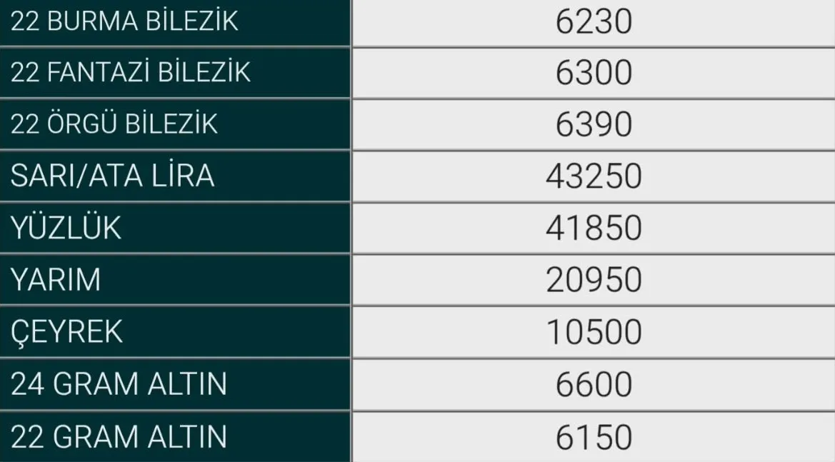 26 Ekim Inegöl Altın
