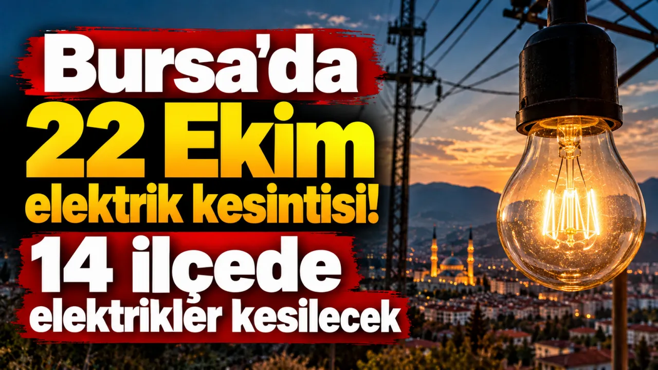 Bursa