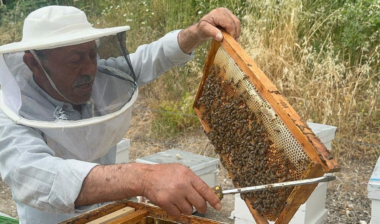 Bursa'da 75 Yaşındaki Emekli Başgardiyan, Ürettiği Balı 20 Yıldır Avrupa’ya Gönderiyor (2)