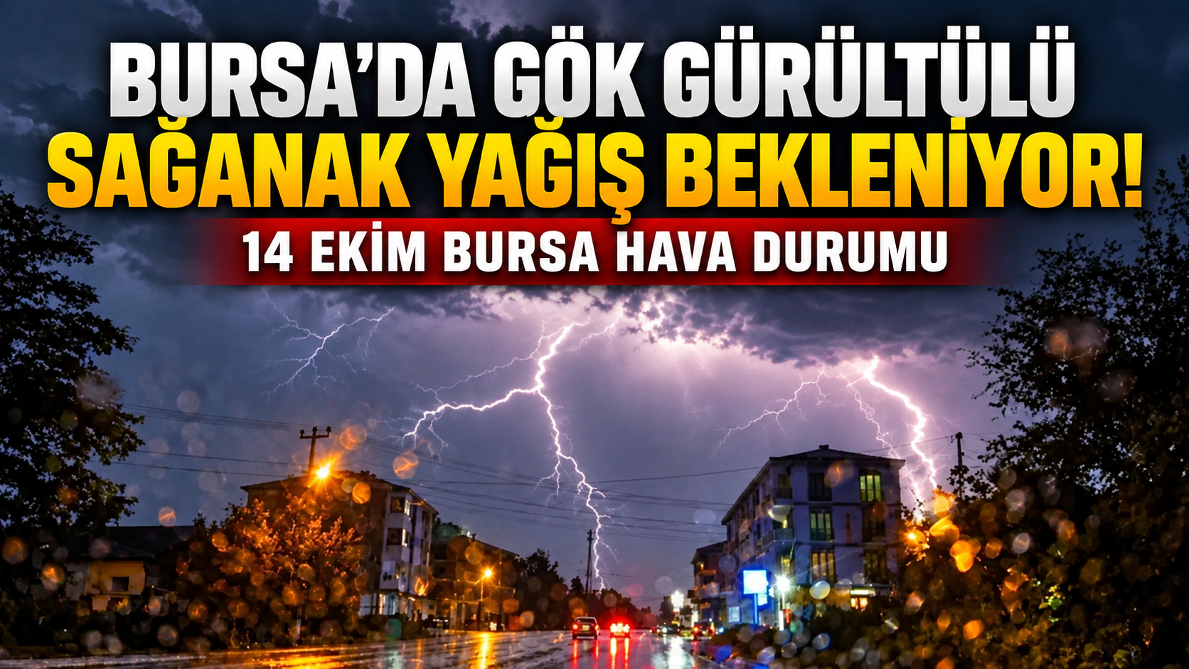 Bursa