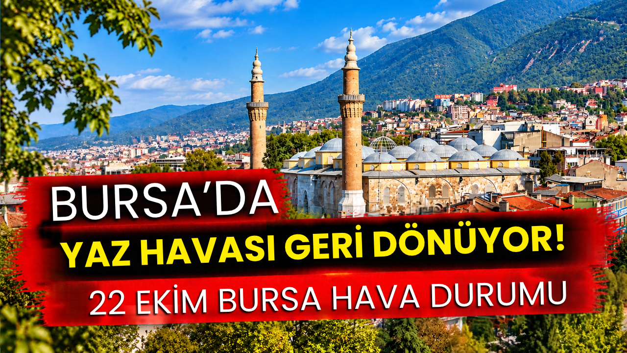 Bursa