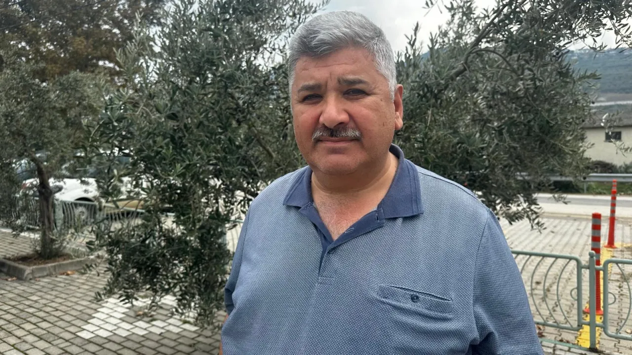 Bursa'da Zeytin Rekoltesi Belli Oldu! 290 Bin Tonluk Üretim Bekleniyor (3)