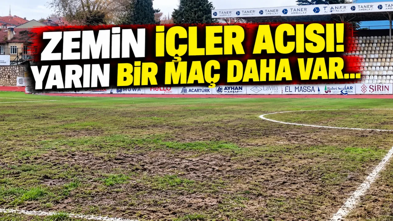 Spor