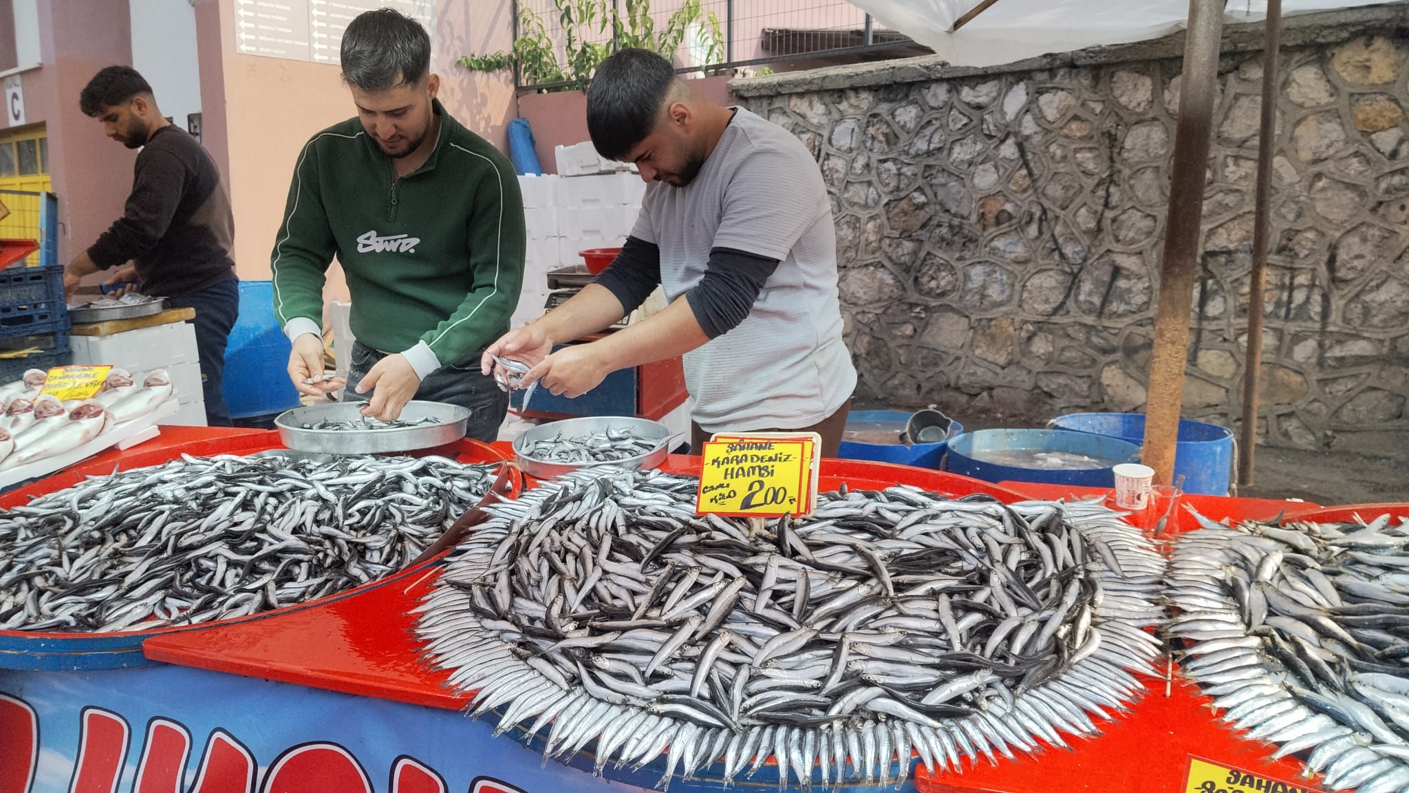 İnegöl Cumartesi Pazarı’nda Balık Fiyatları Belli Oldu (3)