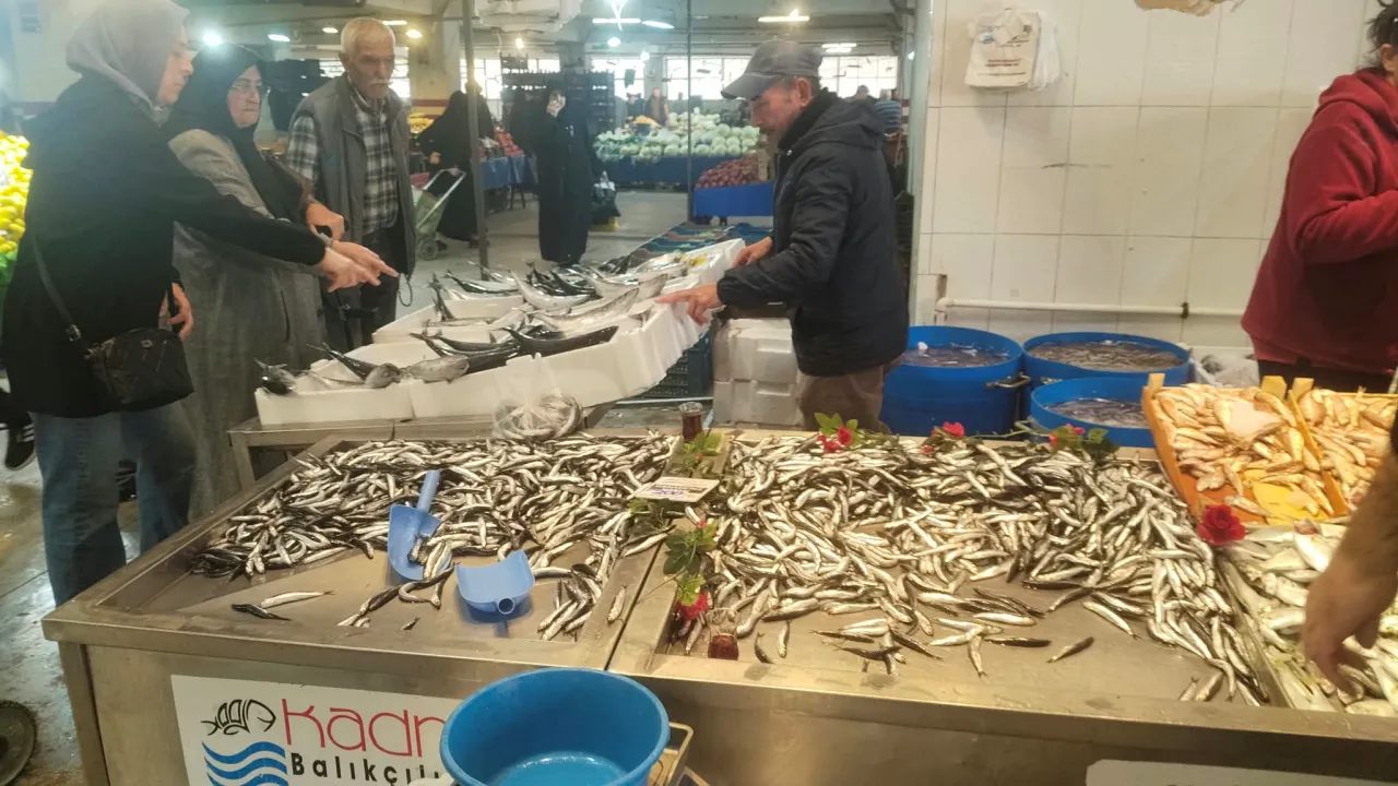 İnegöl Perşembe Pazarındaki Fiyatlarla Balık Yemeye Doyacaksınız! Palamut 125 Tl'den Başlıyor.. (2)