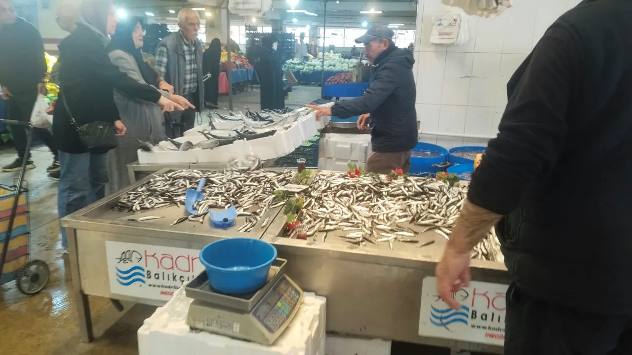 İnegöl Perşembe Pazarındaki Fiyatlarla Balık Yemeye Doyacaksınız! Palamut 125 Tl'den Başlıyor.. (3)