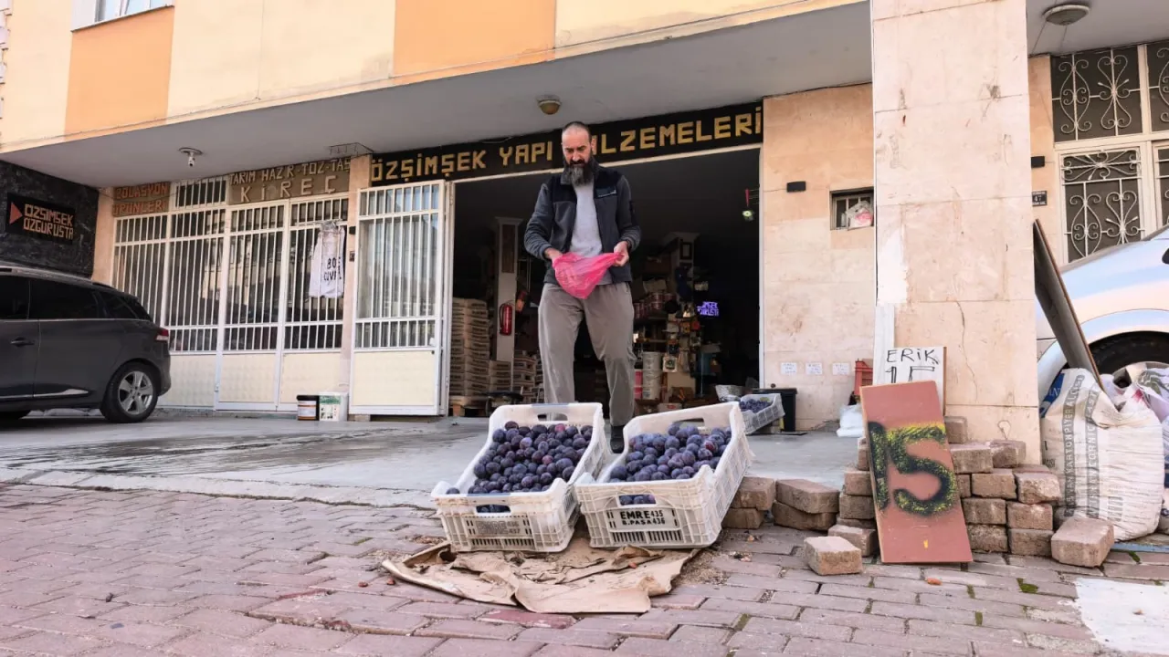 İnegöl’de 10 Ton Eriği Satamayınca Sosyal Medyaya Başvurdu (2)