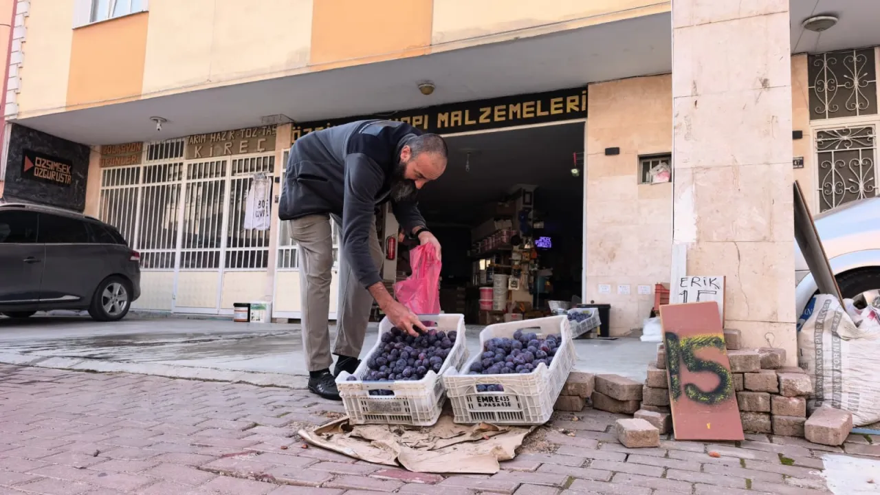 İnegöl’de 10 Ton Eriği Satamayınca Sosyal Medyaya Başvurdu (4)