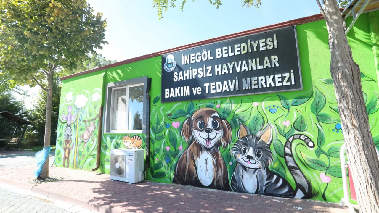 İnegöl’de Hayvanları Koruma Günü’nde Duvarlar Çocukların Fırçalarıyla Renklendi (5)