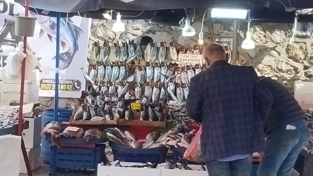 İnegöl'de Palamut Ve Hamsi Dip Yaptı! 3 Gün Önce Iki Katı Fiyatına Satılıyordu (4)