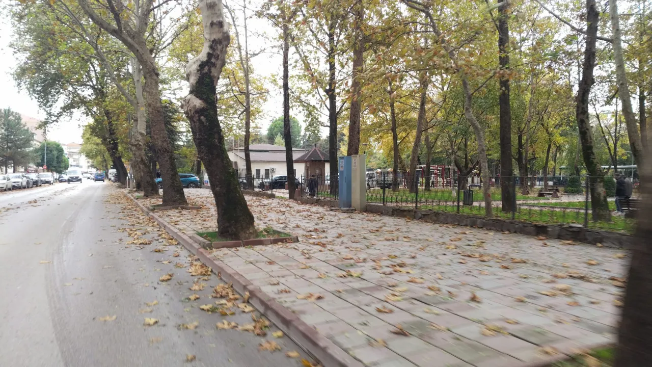 İnegöl'de Sonbaharın Renkleri Ortaya Çıktı! Yollar Sarı Ve Kahverengiye Büründü (2)