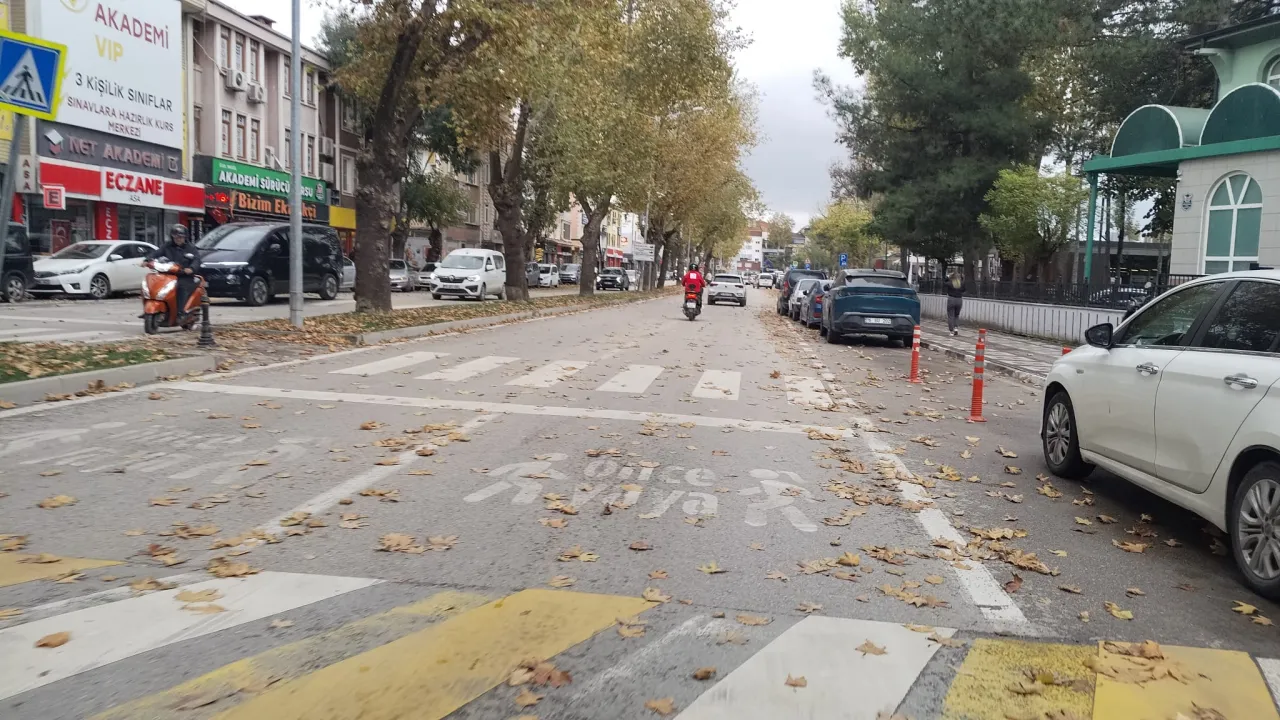 İnegöl'de Sonbaharın Renkleri Ortaya Çıktı! Yollar Sarı Ve Kahverengiye Büründü (4)