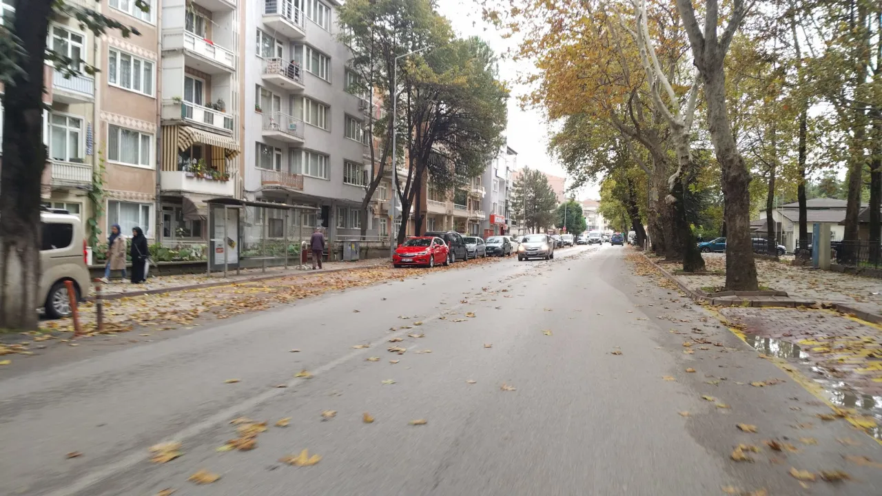 İnegöl'de Sonbaharın Renkleri Ortaya Çıktı! Yollar Sarı Ve Kahverengiye Büründü (5)