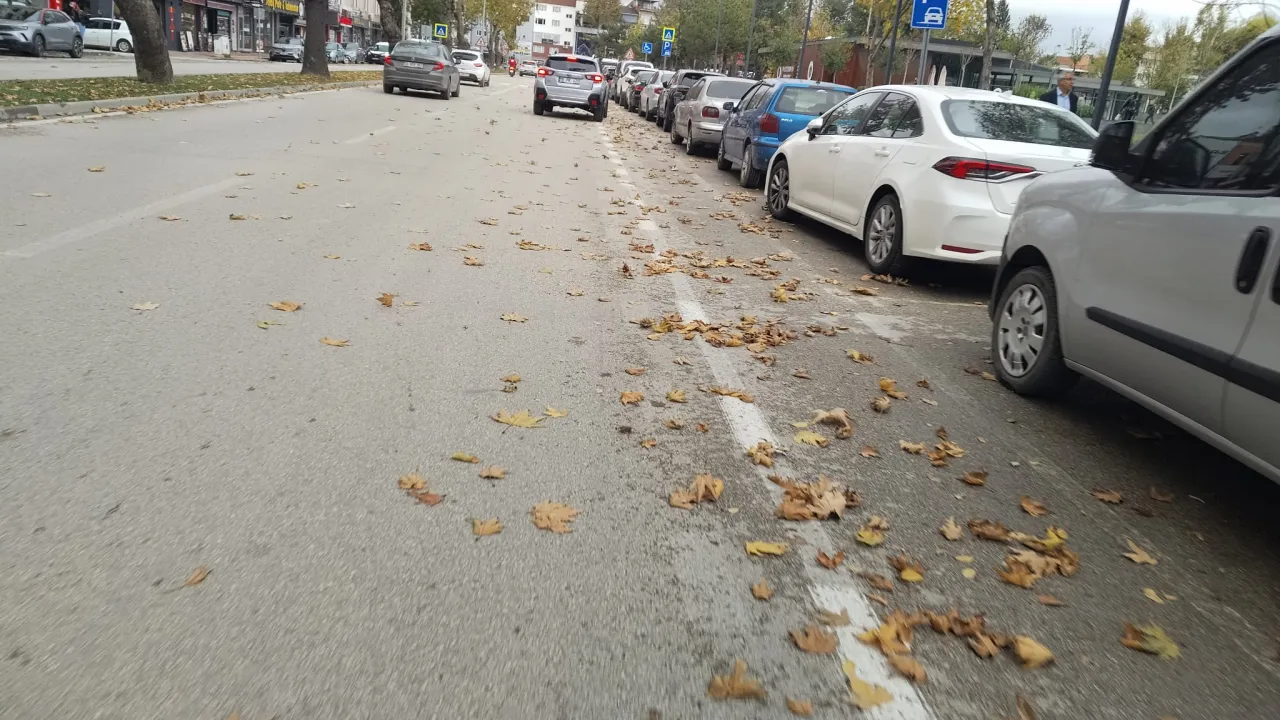 İnegöl'de Sonbaharın Renkleri Ortaya Çıktı! Yollar Sarı Ve Kahverengiye Büründü (6)