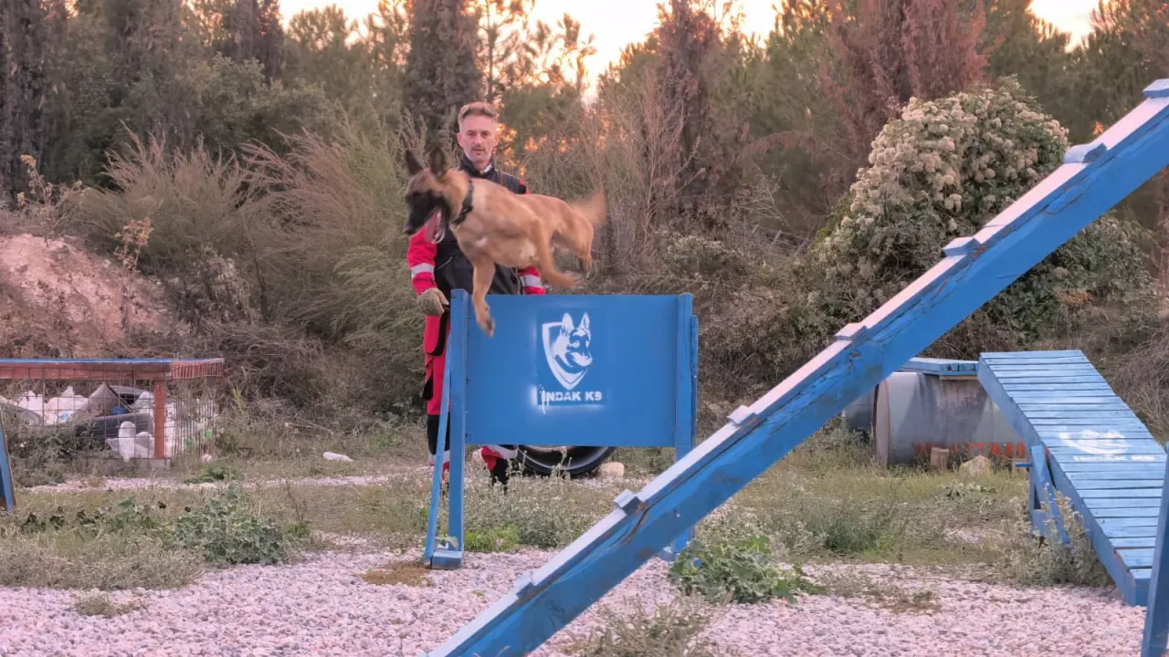 İnegöl'deki Enkaz Alanı K9 Köpeklerinin Eğitim Üssü Oldu! Rusya'dan Bile Geliyorlar (2)