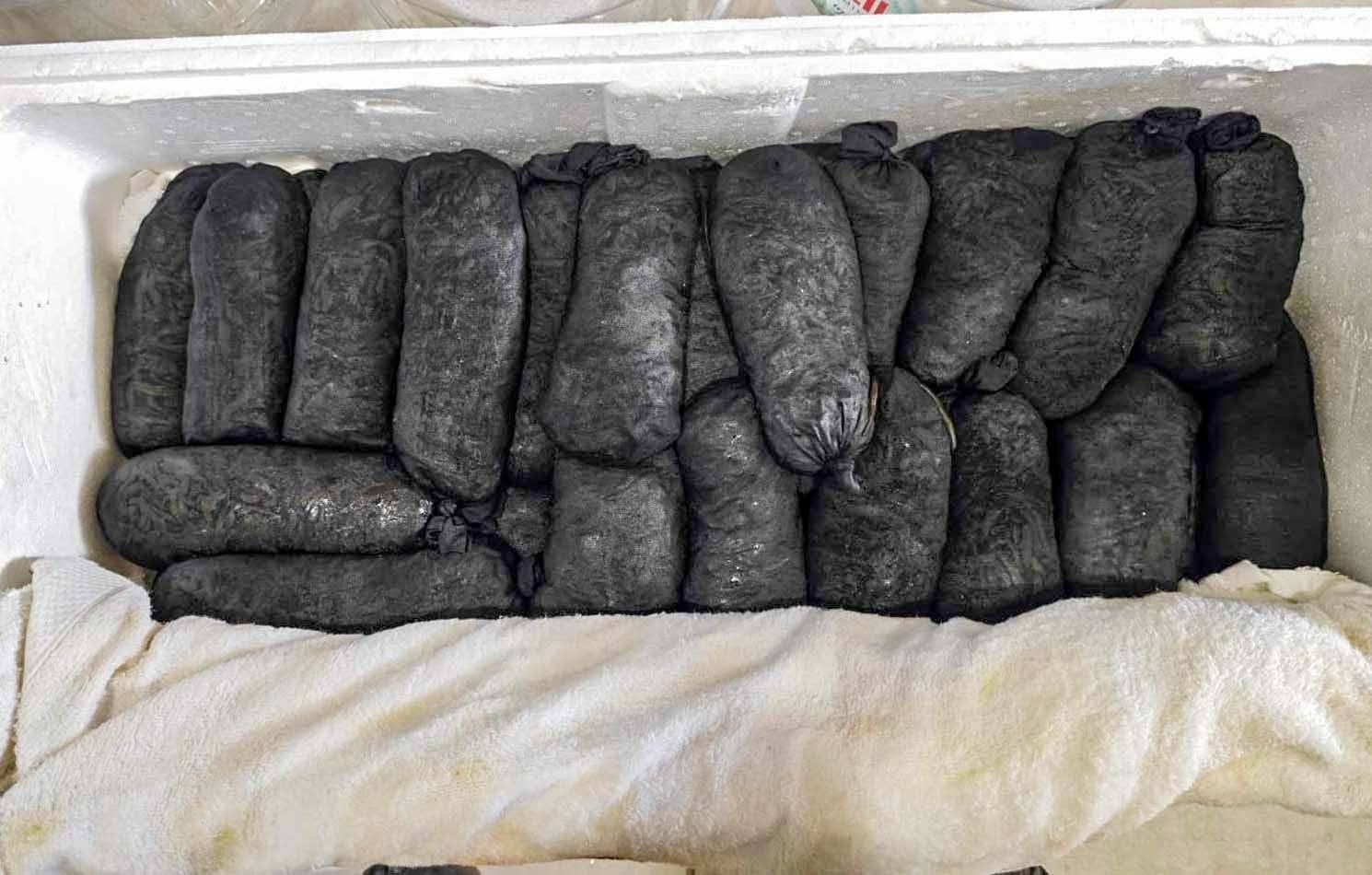 Kayseri Havalimanı'nda Yasa Dışı Yollarla Ülkeye Sokulmak Istenen 25 Bin Canlı Sülük Yakalandıaw813680 03