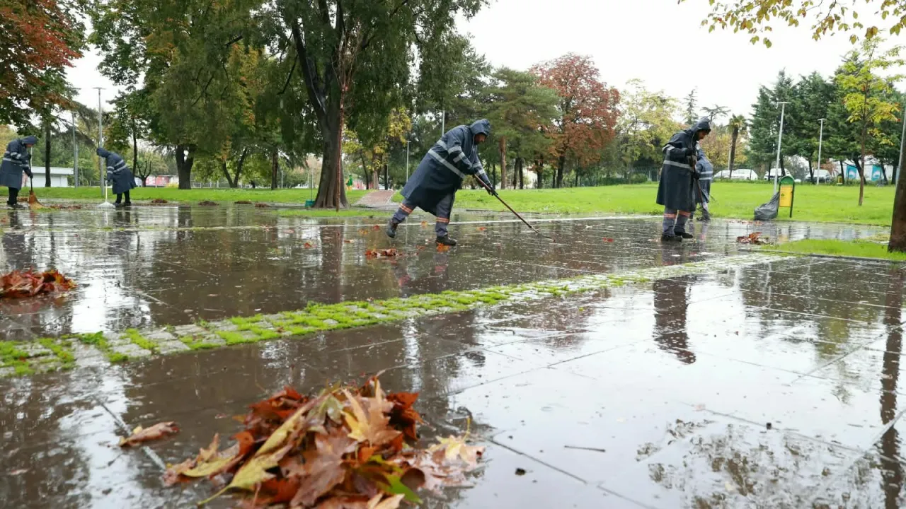 Osmangazi'de Sonbahar Temizliği! Dökülen Yapraklar Gübreye Dönüşüyor (3)