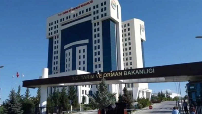 Tarım Ve Orman Bakanlığı Açıkladı! Bursa Dahil 3 Ilde At Ve Eşek Eti Skandalı (1)-1